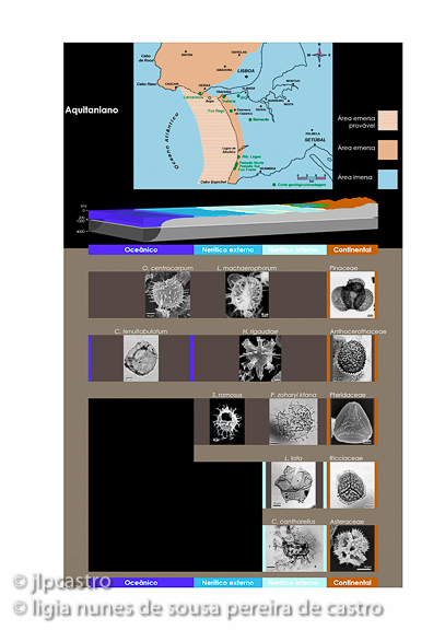 tese do doutoramento da lígia, aquitaniano2, 07