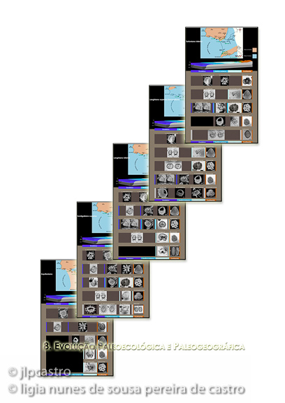 tese do doutoramento da lígia, capa8b, 07