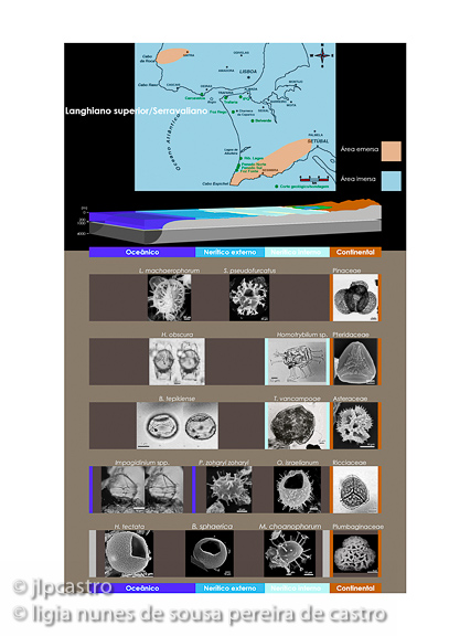 tese do doutoramento da lígia, lang_sup_serravaliano2, 07