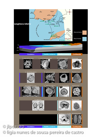 tese do doutoramento da lígia, langhiano_inf2, 07