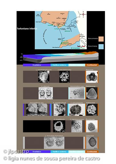 tese do doutoramento da lígia, tortoniano_inf2, 07