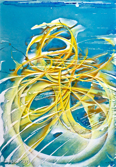 sonho do padre bartolomeu gusmão, 89