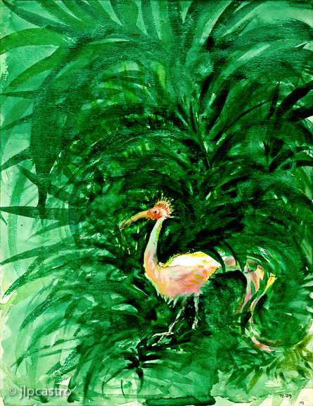 mil1noites, pássaro, 79